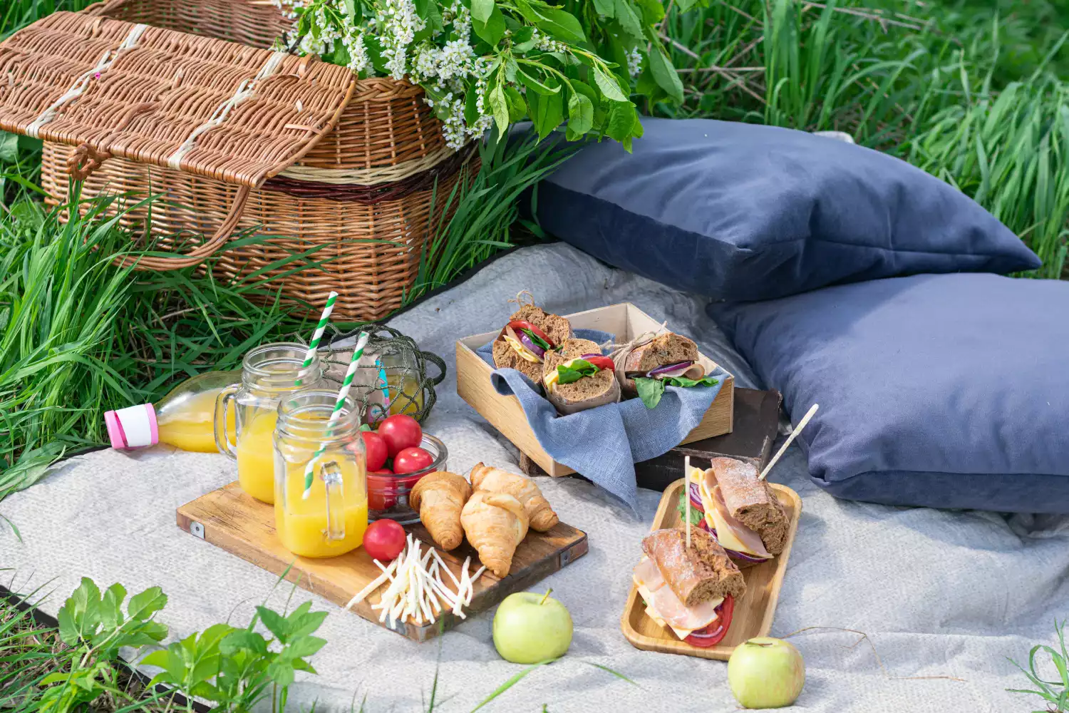 hiking picnic blanket